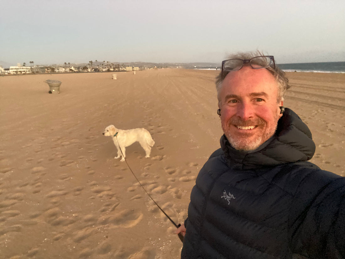 Why Dogs Follow You Everywhere