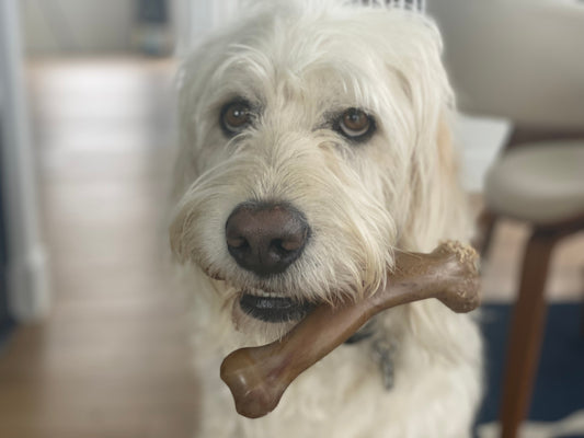 Good Chew Toys vs Bad Chew Toys