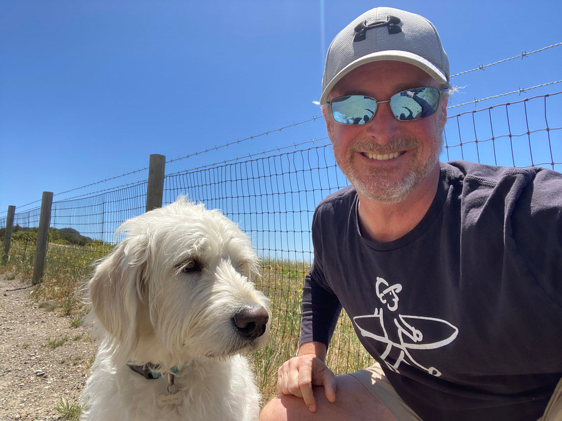 The Dog Hug You Can Buy: Why Comfort Jackets Actually Work