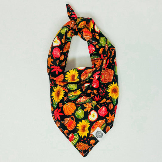 Nutmeg Dog Bandana | Fall Harvest Apple Pie Pumpkin