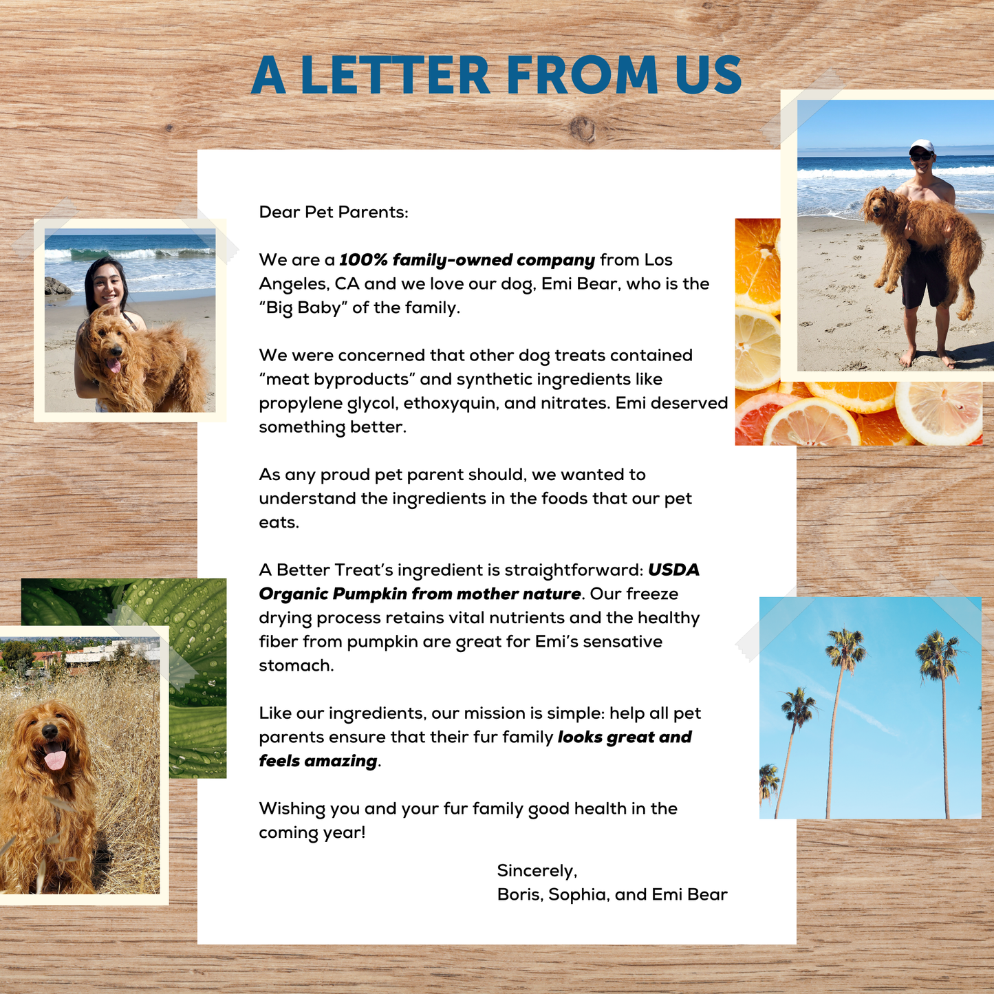 Organic Freeze Dried Pumpkin Dog and Cat Treats