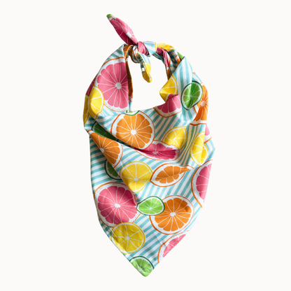 Citrus Dog Bandana | Lemon Slice Summer Tropical Vacation
