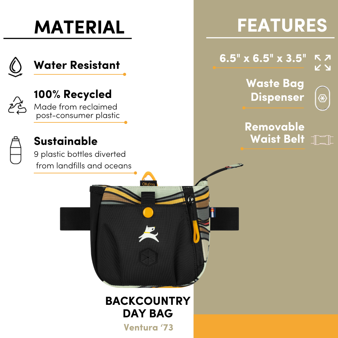 Backcountry Day Bag