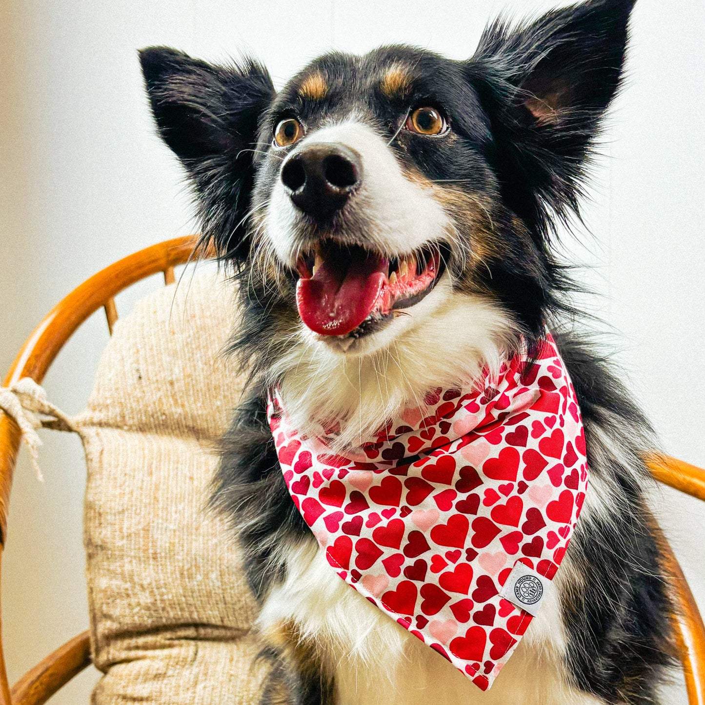 Cupid Dog Bandana | Valentine's Day Heart Love Pet Accessory