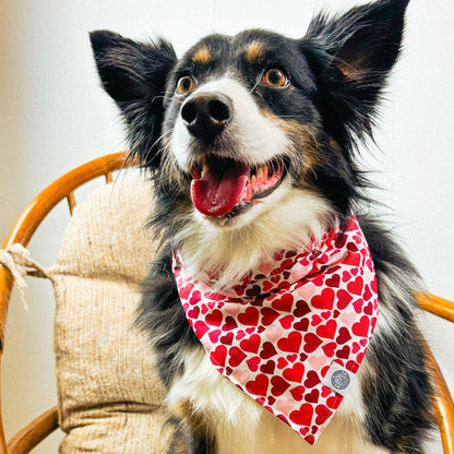 Cupid Dog Bandana | Valentine's Day Heart Love Pet Accessory
