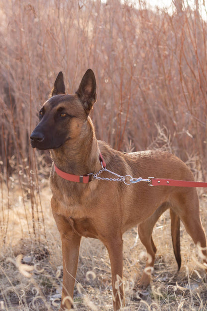 Leather Dog Collar Martingale Soft Modern Style: Chocolate / Medium 12"-18"