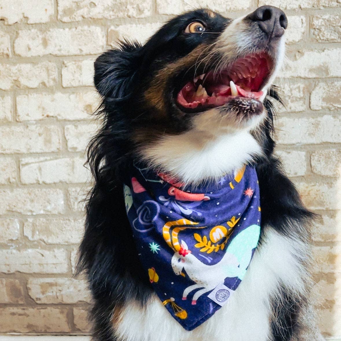 Astro Dog Bandana | Zodiac Astrology Star Pet Accessory