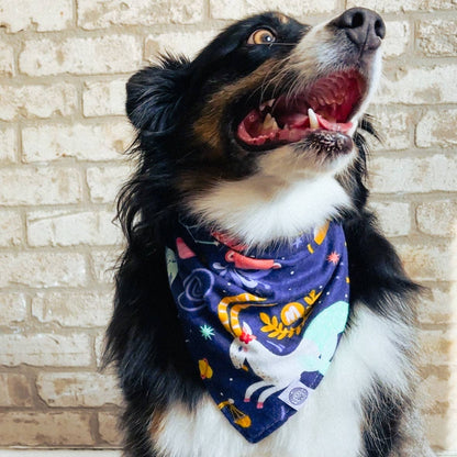 Astro Dog Bandana | Zodiac Astrology Star Pet Accessory