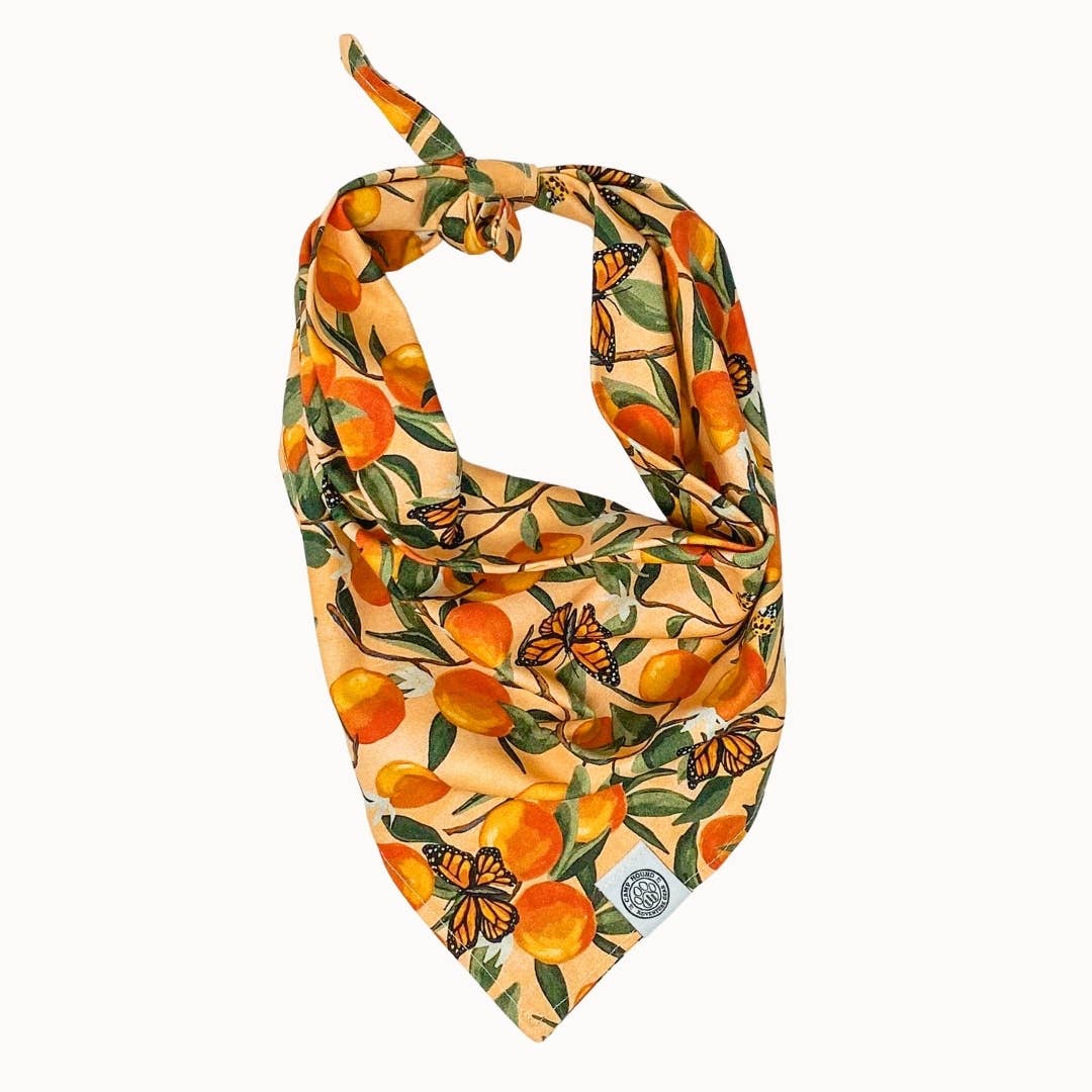 Clem Dog Bandana | Spring Orange Butterfly Watercolor Scarf: Orange / M