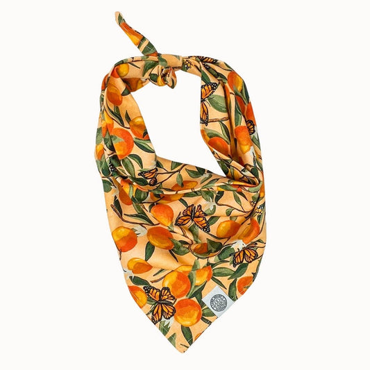 Clem Dog Bandana | Spring Orange Butterfly Watercolor Scarf: Orange / M