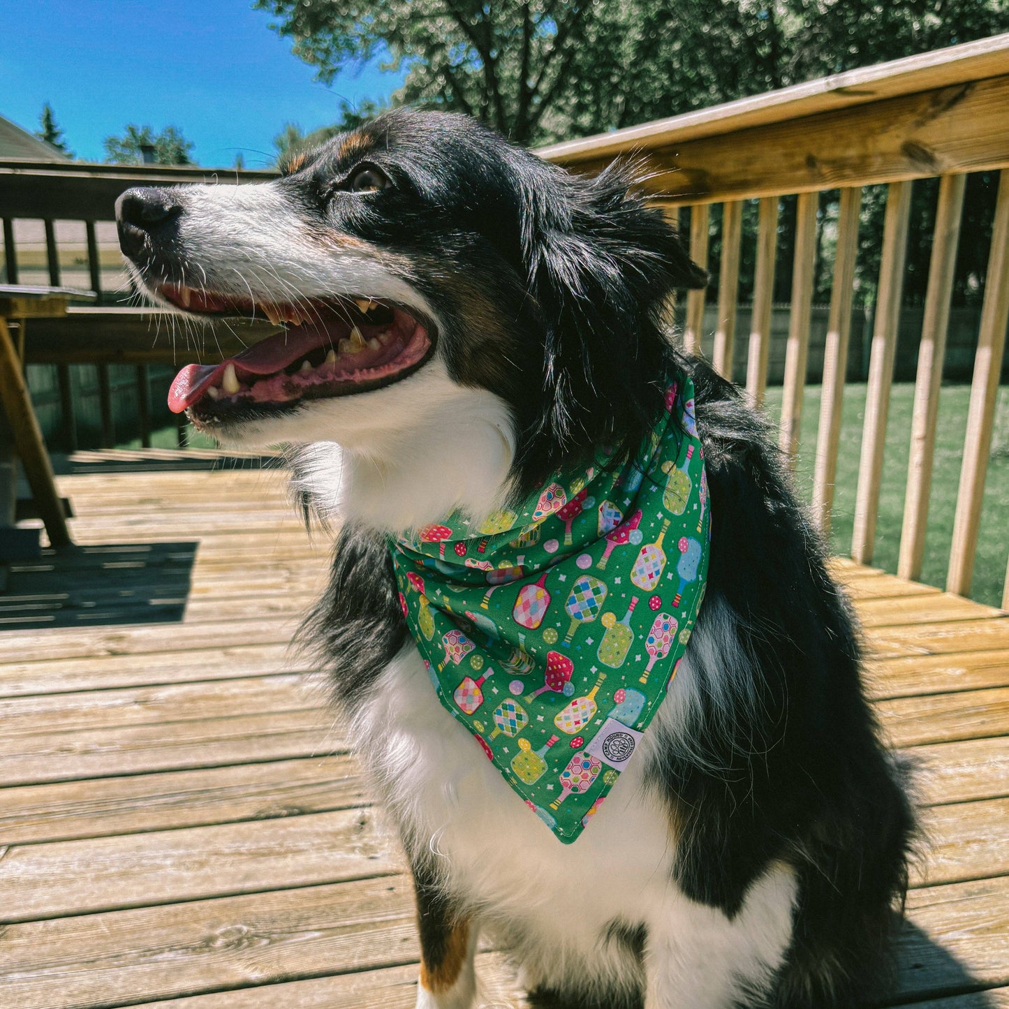 Pickles Dog Bandana | Pickleball Summer Sports Pet Accessory