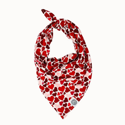 Cupid Dog Bandana | Valentine's Day Heart Love Pet Accessory