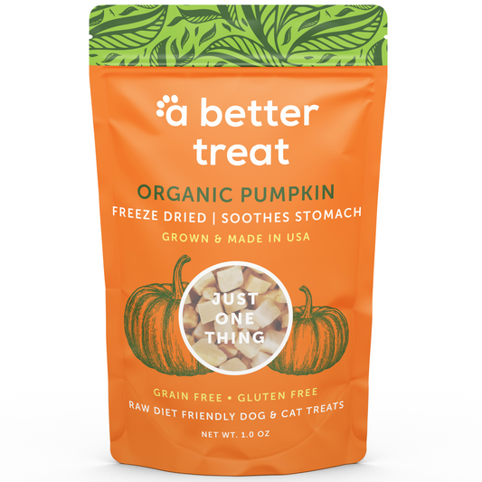 Organic Freeze Dried Pumpkin Dog and Cat Treats