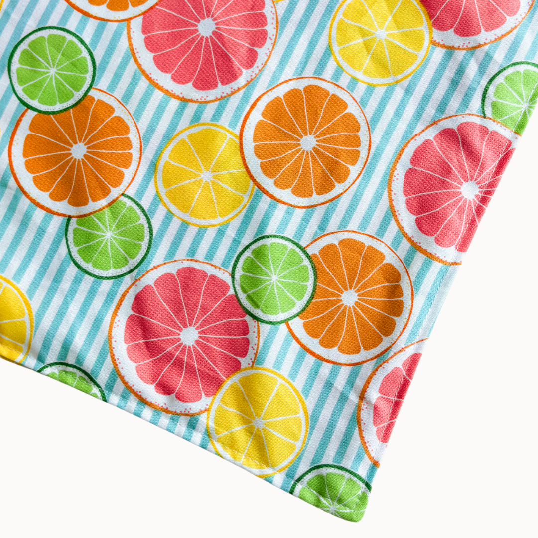 Citrus Dog Bandana | Lemon Slice Summer Tropical Vacation