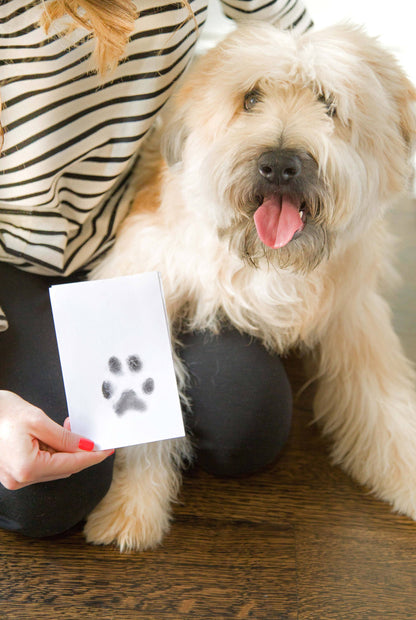 Pet Pawprint Clean-Touch Ink Pad, Black