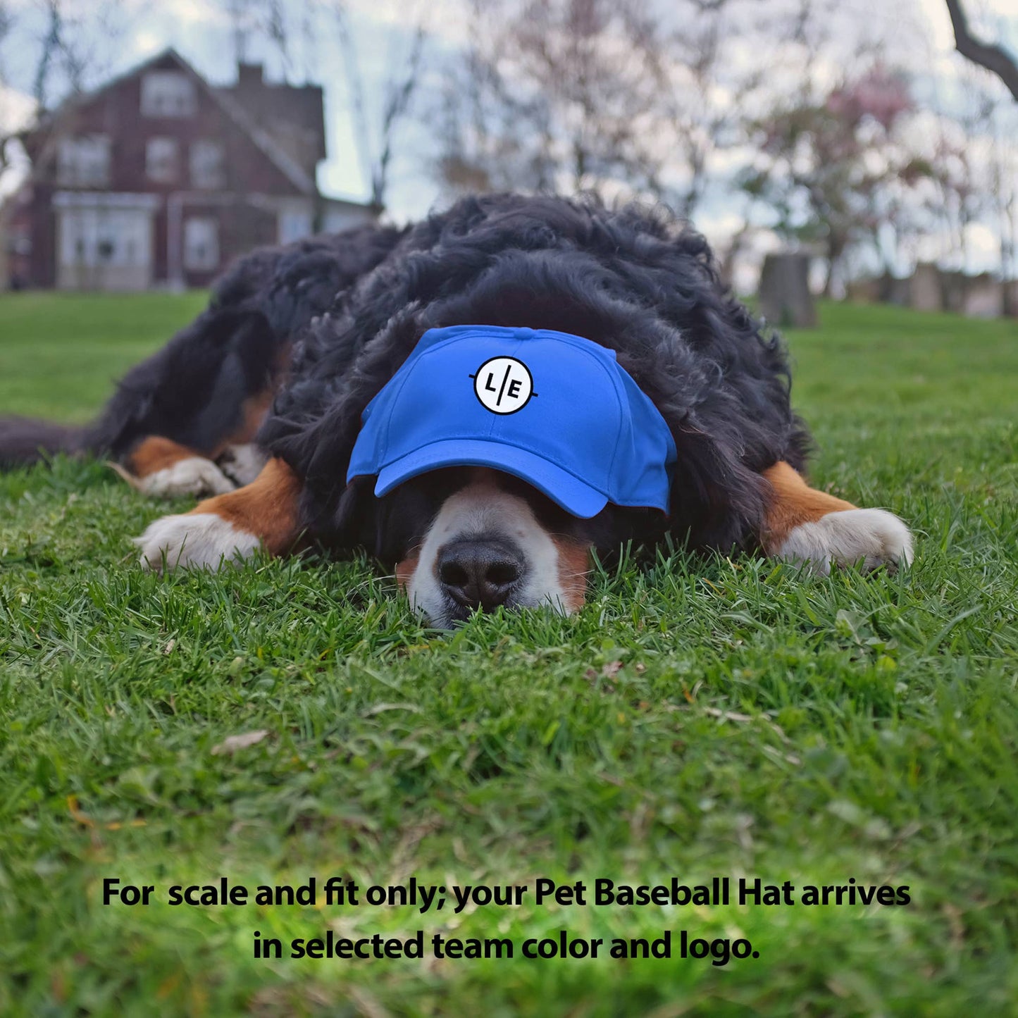 MLB Los Angeles Dodgers Pet Baseball Hat