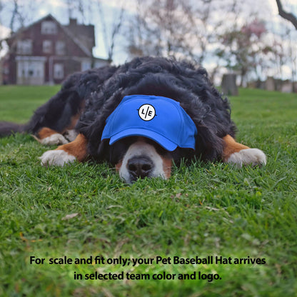 MLB Los Angeles Dodgers Pet Baseball Hat