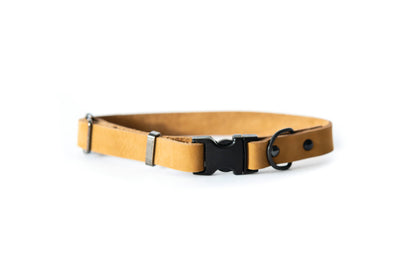 Leather Dog Collar Soft Sport Style YKK Quick Release Buckle: Soft Tan / M 3/4" Wide 12"-18" Range